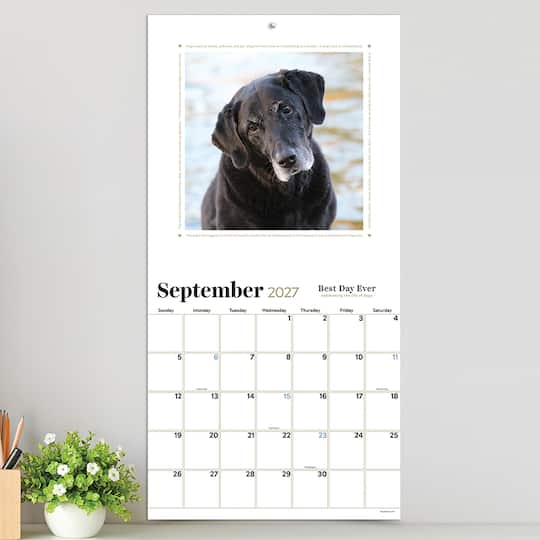 2027 Best Day Ever: Celebrating The Life of Dogs Wall Calendar